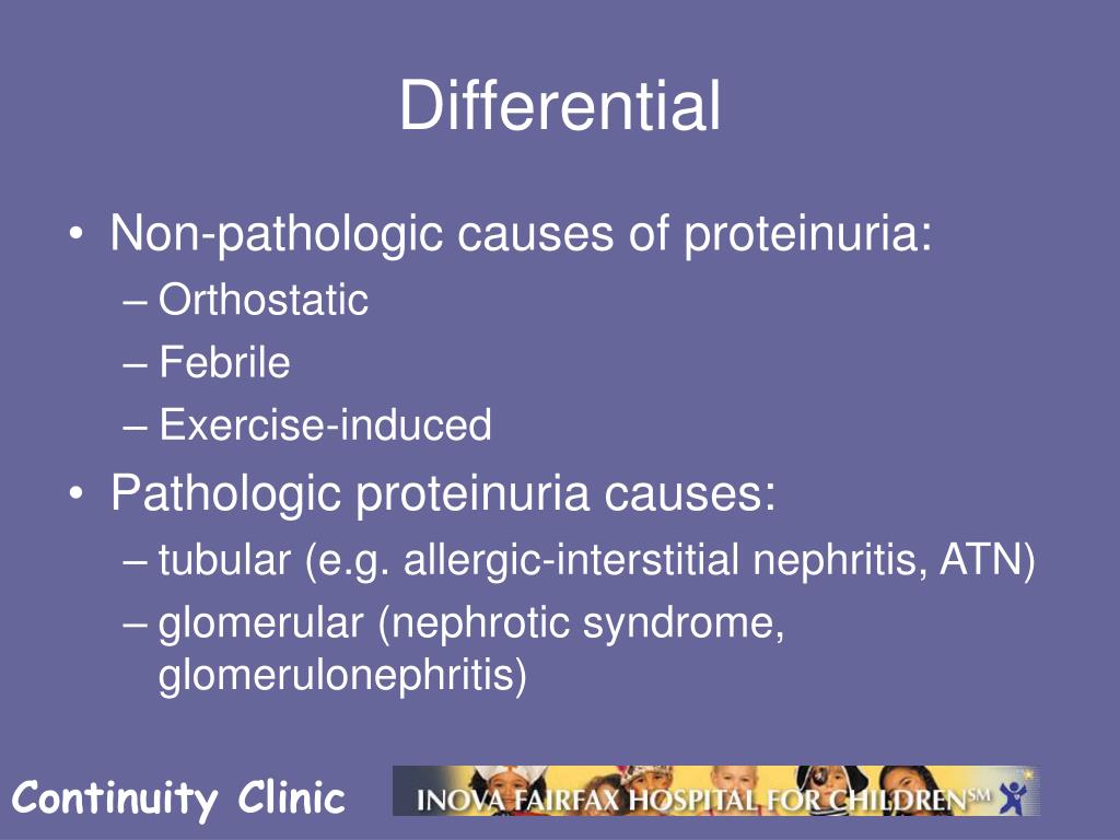 PPT Proteinuria PowerPoint Presentation, free download ID638295