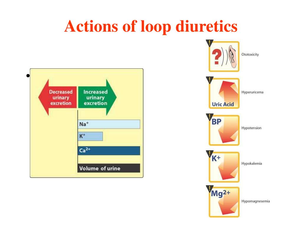 PPT Diuretics PowerPoint Presentation, free download ID638721