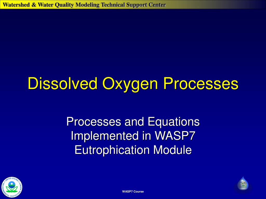 PPT Dissolved Oxygen Processes PowerPoint Presentation