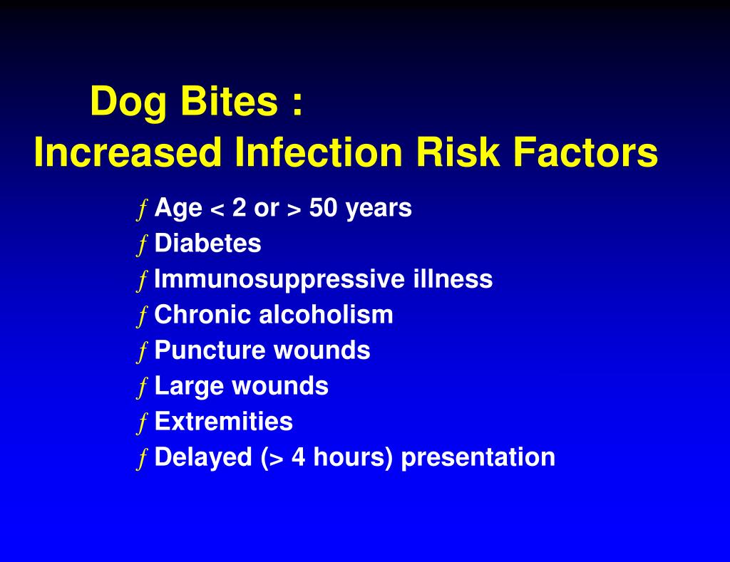 PPT Dog Attack ! Dog Bite Injuries PowerPoint