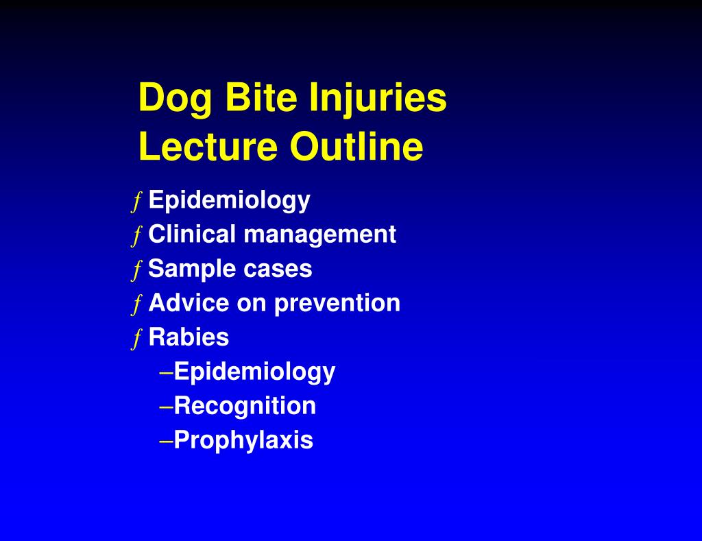 PPT Dog Attack ! Dog Bite Injuries PowerPoint Presentation, free
