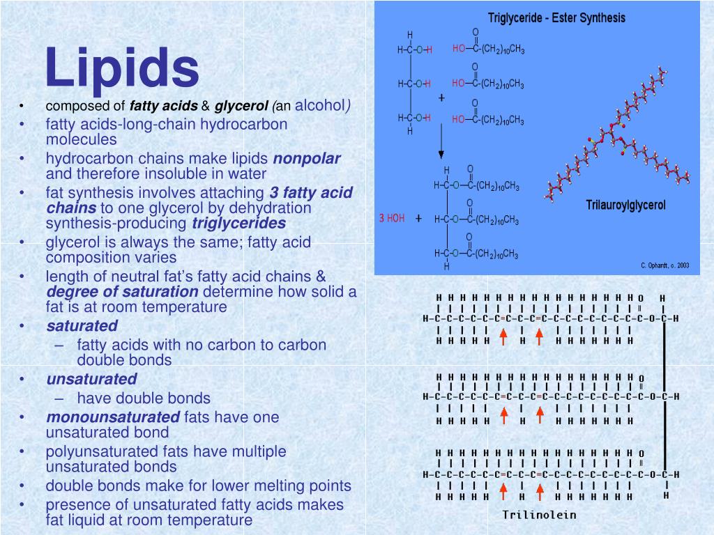 PPT Molecules of Life PowerPoint Presentation, free download ID640901