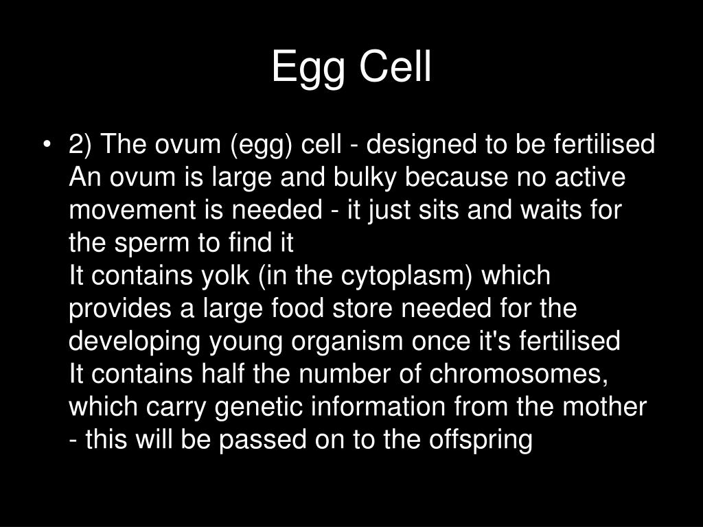 PPT Life Processes and Living things PowerPoint Presentation, free download ID641478