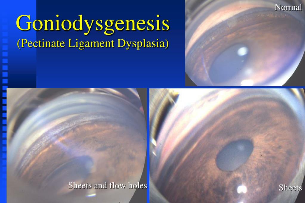 PPT PowerPoint Presentation, free download ID6422