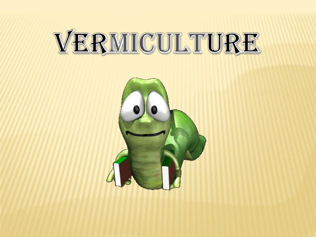 PPT VERMICULTURE PowerPoint Presentation, free download ID642278