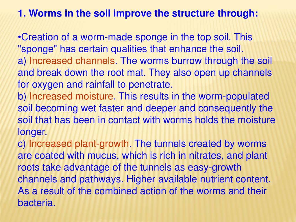 PPT VERMICULTURE PowerPoint Presentation, free download ID642278
