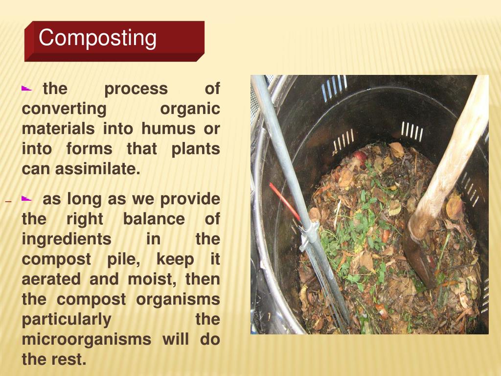 PPT VERMICULTURE PowerPoint Presentation, free download ID642278