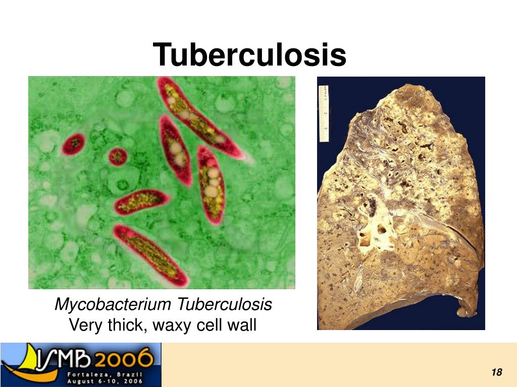 PPT 7. Molecular Docking and Drug Discovery PowerPoint Presentation