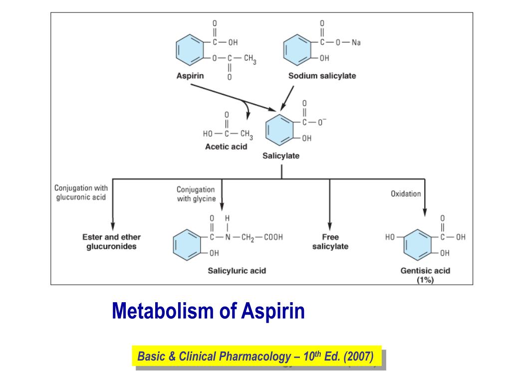 PPT Assoc. Prof. I. Lambev www.medpharmsofia.eu PowerPoint