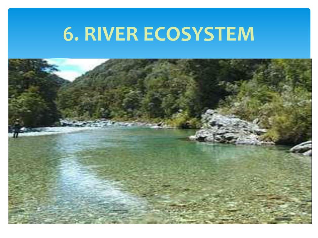 PPT ECOSYSTEMS PowerPoint Presentation, free download ID649767