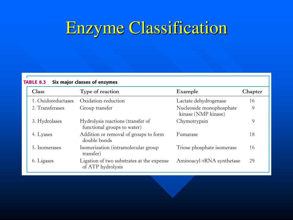 PPT Enzymes PowerPoint Presentation, free download ID650440