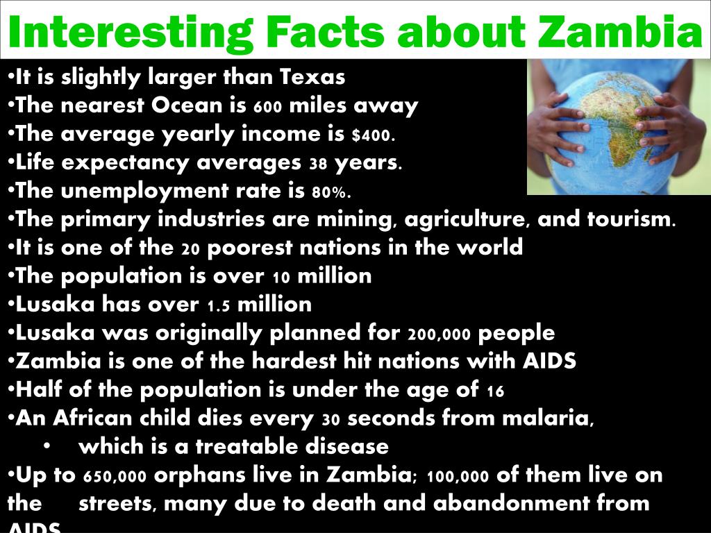 PPT ZAMBIA 2010 PowerPoint Presentation, free download ID65112
