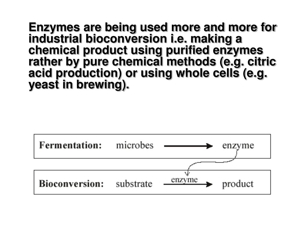 PPT Production of Enzymes PowerPoint Presentation, free download ID651185
