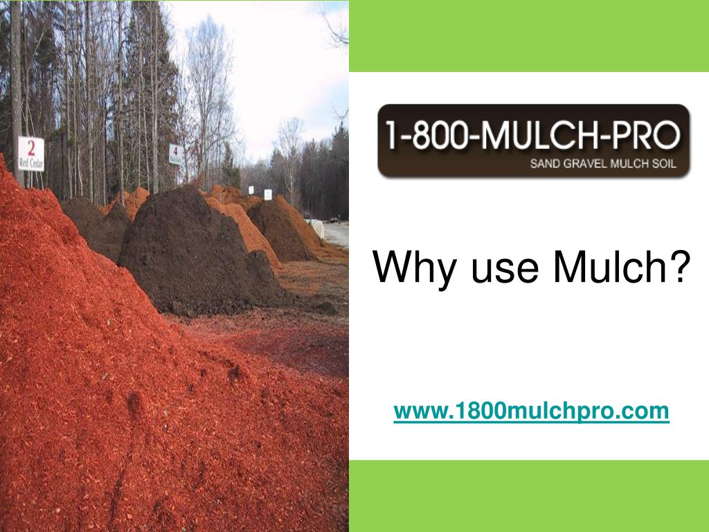 Mulch Meaning