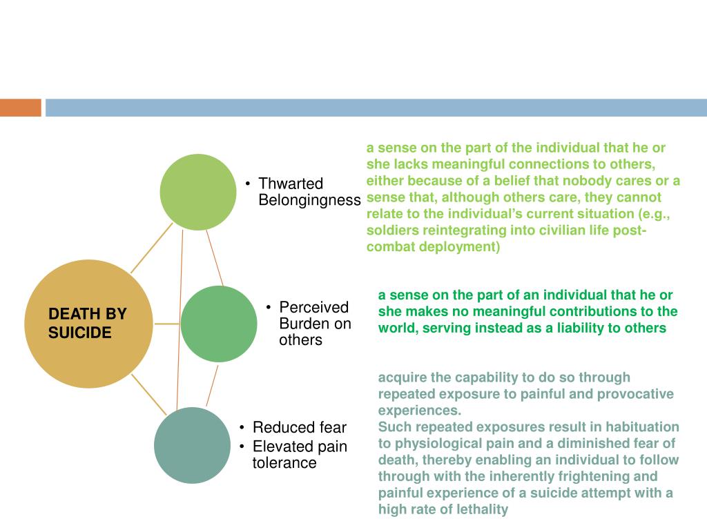 PPT THEORIES OF SUICIDE PowerPoint Presentation, free download ID