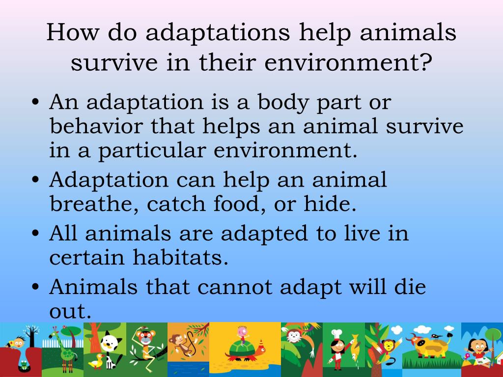PPT Animal Adaptations PowerPoint Presentation, free download ID652351