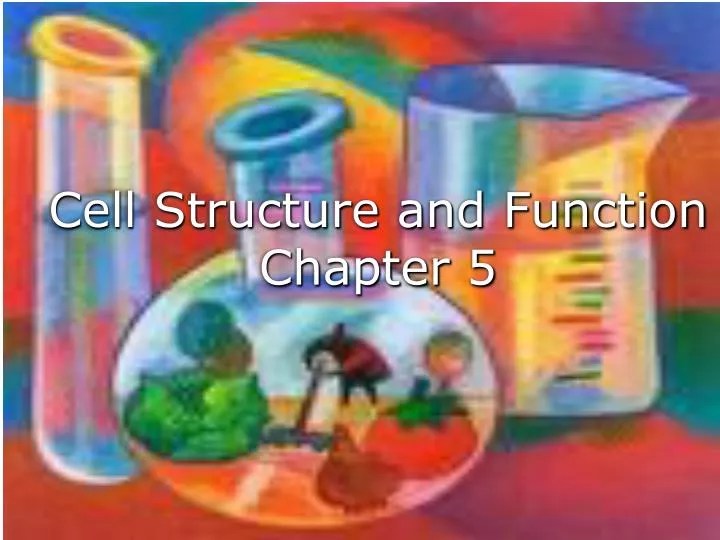 PPT Cell Structure and Function Chapter 5 PowerPoint Presentation