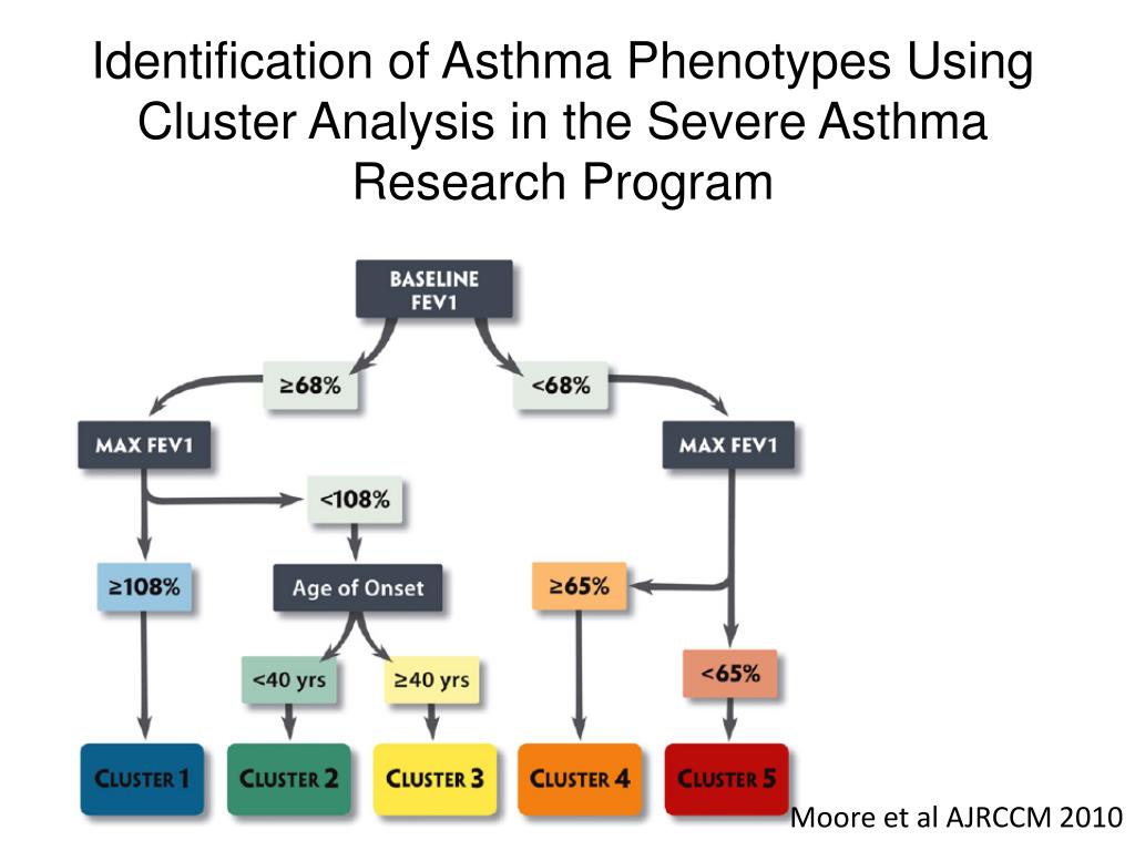 PPT Inflammatory and remodeling phenotypes in asthma PowerPoint