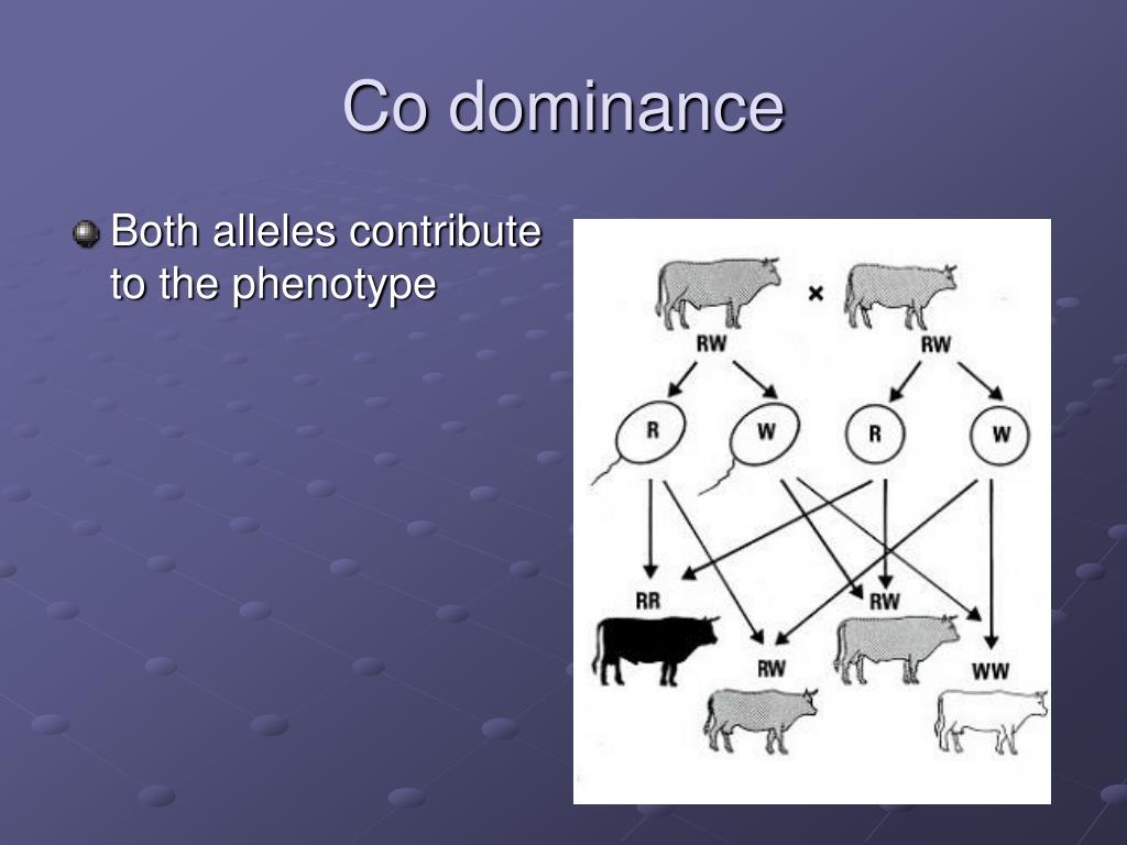 PPT 113 Exploring Mendelian PowerPoint Presentation, free