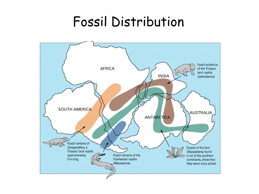 PPT Plate Tectonics PowerPoint Presentation, free download ID656059