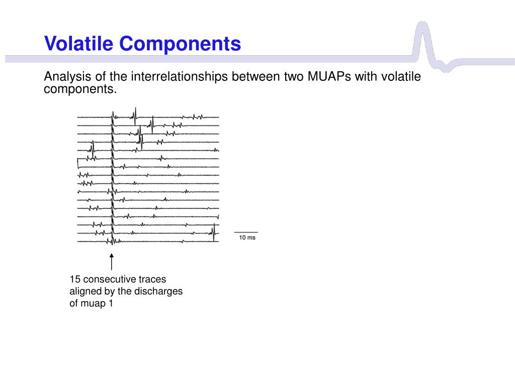 PPT Muscles PowerPoint Presentation, free download ID657465