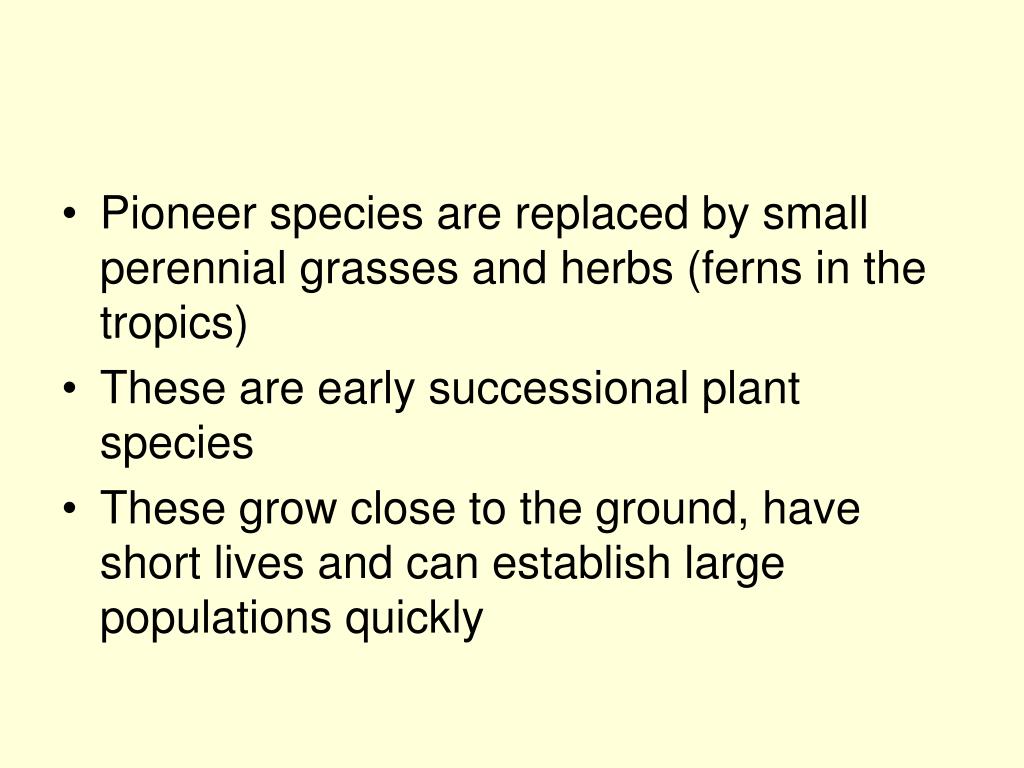 PPT Chapter 8 PowerPoint Presentation, free download ID65821