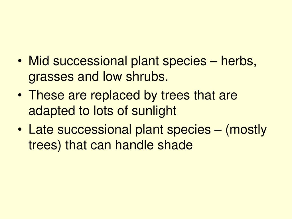 PPT Chapter 8 PowerPoint Presentation, free download ID65821