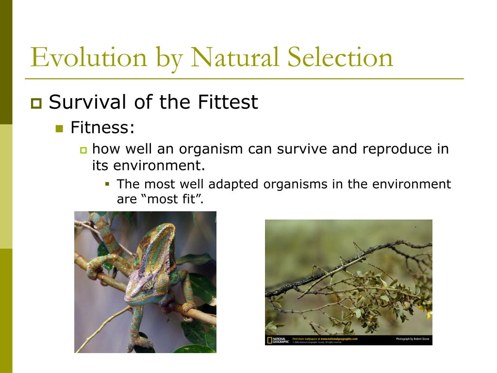 PPT Chapter 16.3 and 16.4 PowerPoint Presentation, free download ID
