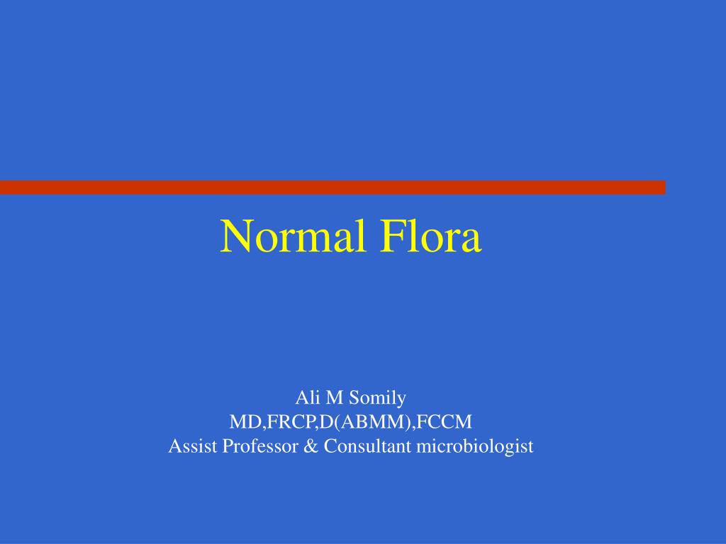 PPT Normal Flora PowerPoint Presentation ID661768