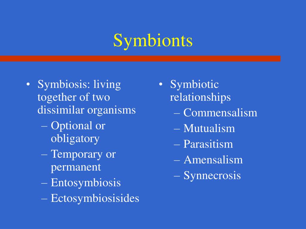 PPT Normal Flora PowerPoint Presentation, free download