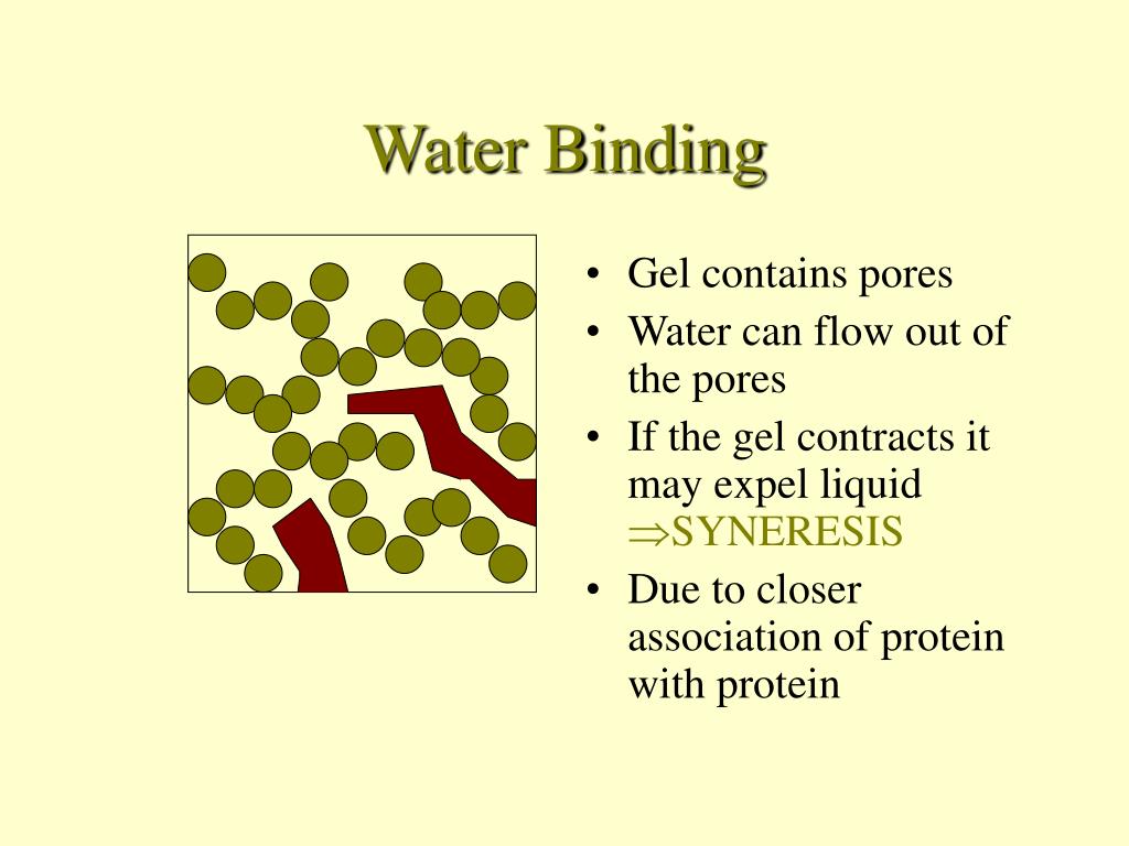 PPT Protein Functionality PowerPoint Presentation, free download ID662819