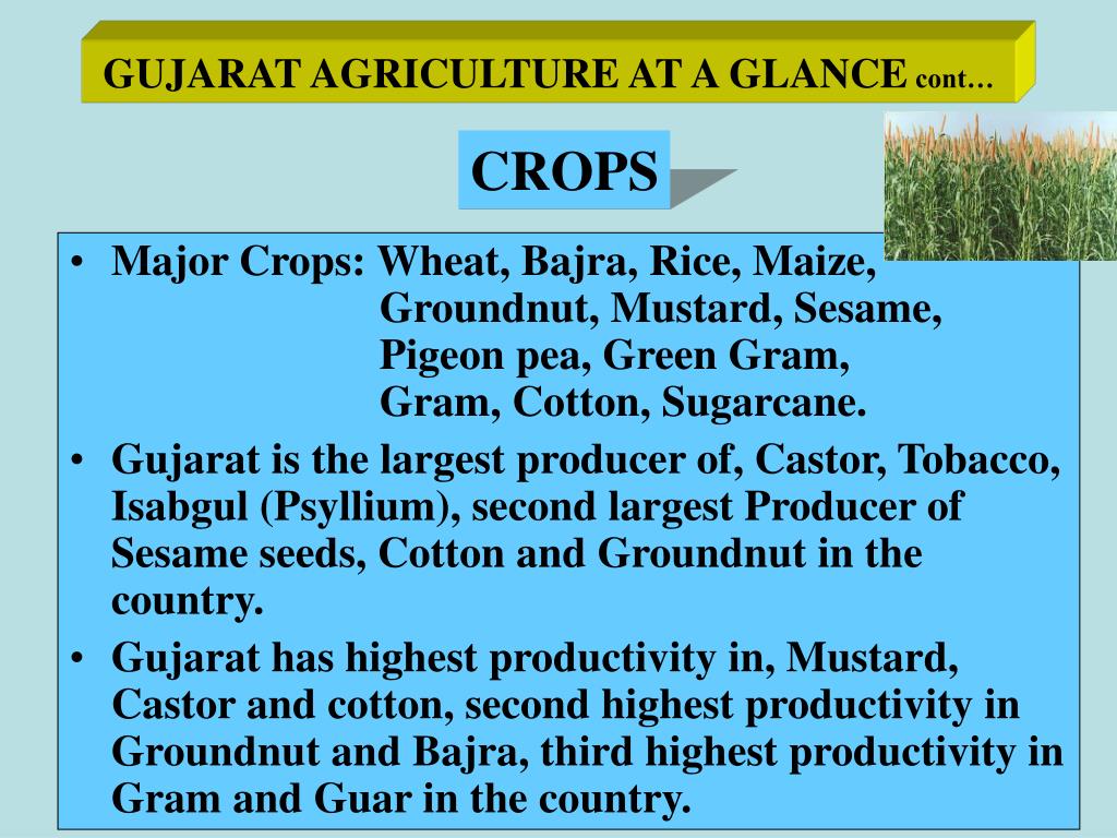 PPT Gujarat Agriculture An overview PowerPoint Presentation ID663726
