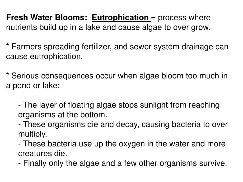 PPT site PowerPoint Presentation, free download ID