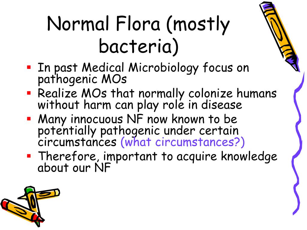 PPT Normal Flora PowerPoint Presentation, free download ID666650