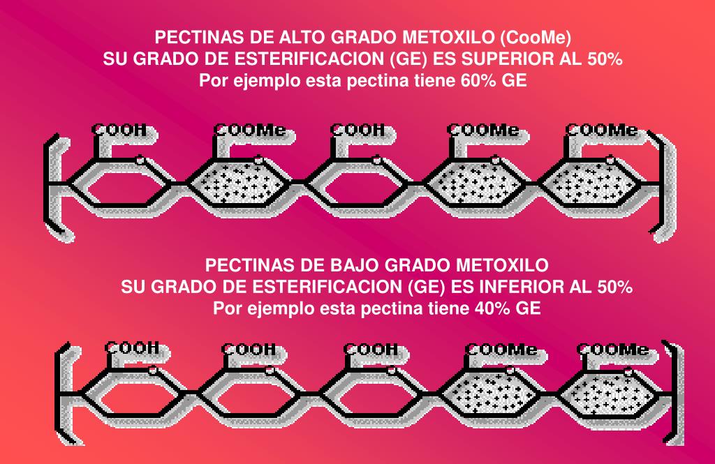 PPT TECNOLOGIA DE FRUTAS Y HORTALIZAS PowerPoint Presentation, free download ID669755