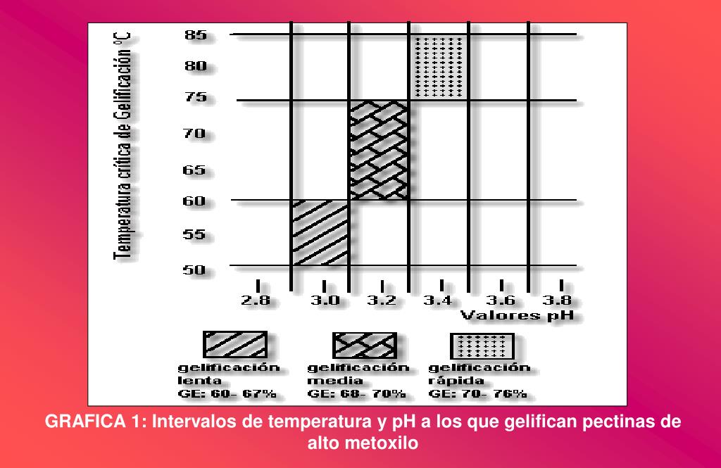 PPT TECNOLOGIA DE FRUTAS Y HORTALIZAS PowerPoint Presentation, free