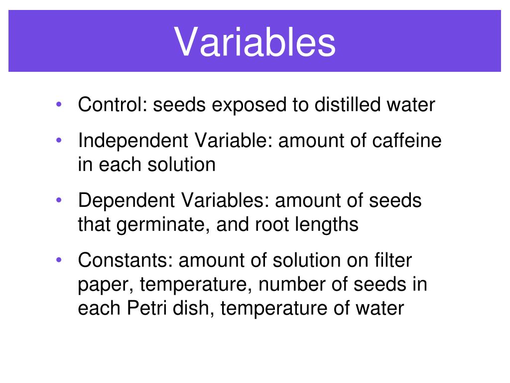 PPT The Effects of Caffeine on Plant Germination PowerPoint