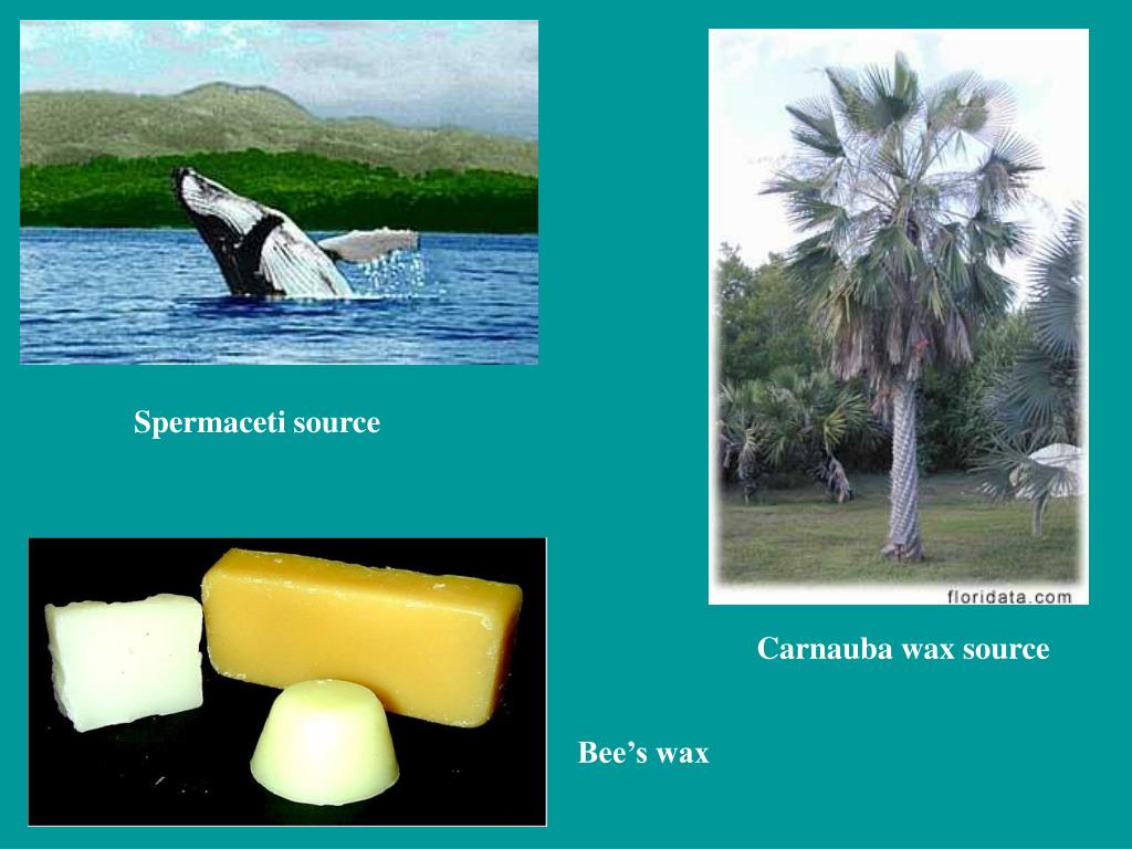 PPT HL Chemistry Option B Human Biochemistry PowerPoint