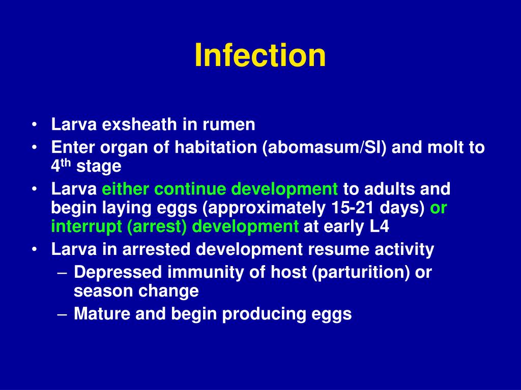 PPT Small Ruminant Nematode Parasites PowerPoint Presentation, free