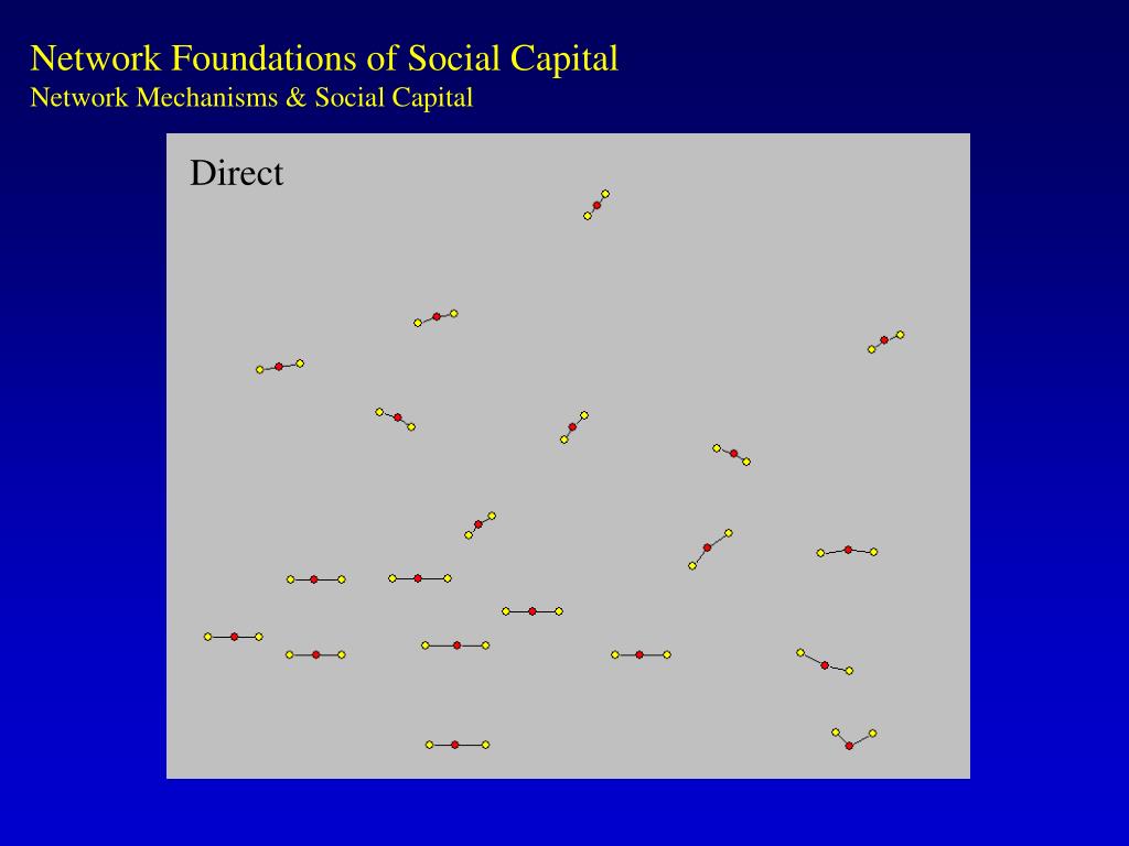 PPT Patterns & Paradox Network Foundations of Social Capital James