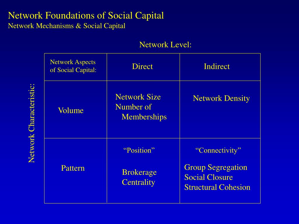 PPT Patterns & Paradox Network Foundations of Social Capital James