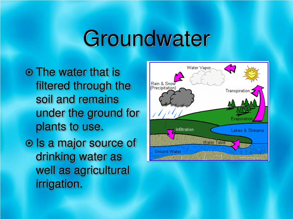 PPT The Water Cycle and How Humans Impact It PowerPoint Presentation