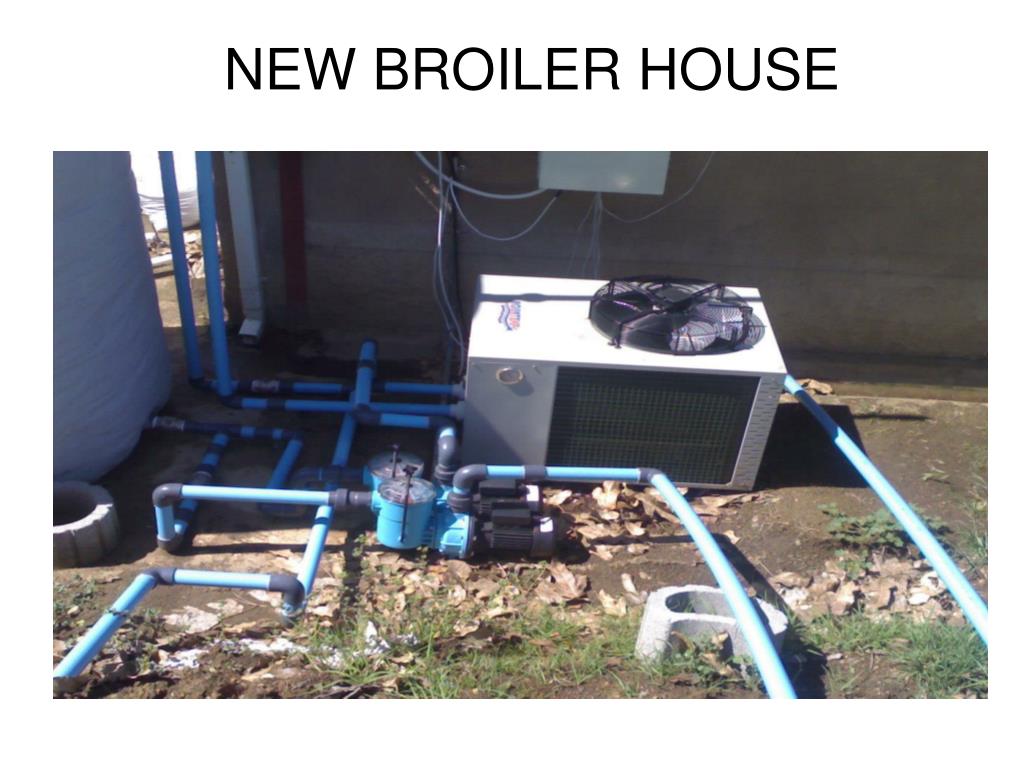 PPT INNOVATIVE HEATING AND COOLING FOR A BROILER CHICKEN HOUSE USING