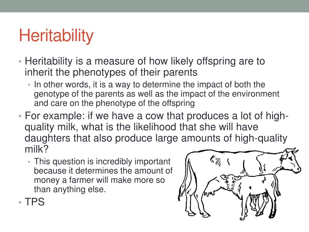 PPT Agricultural PowerPoint Presentation, free download ID