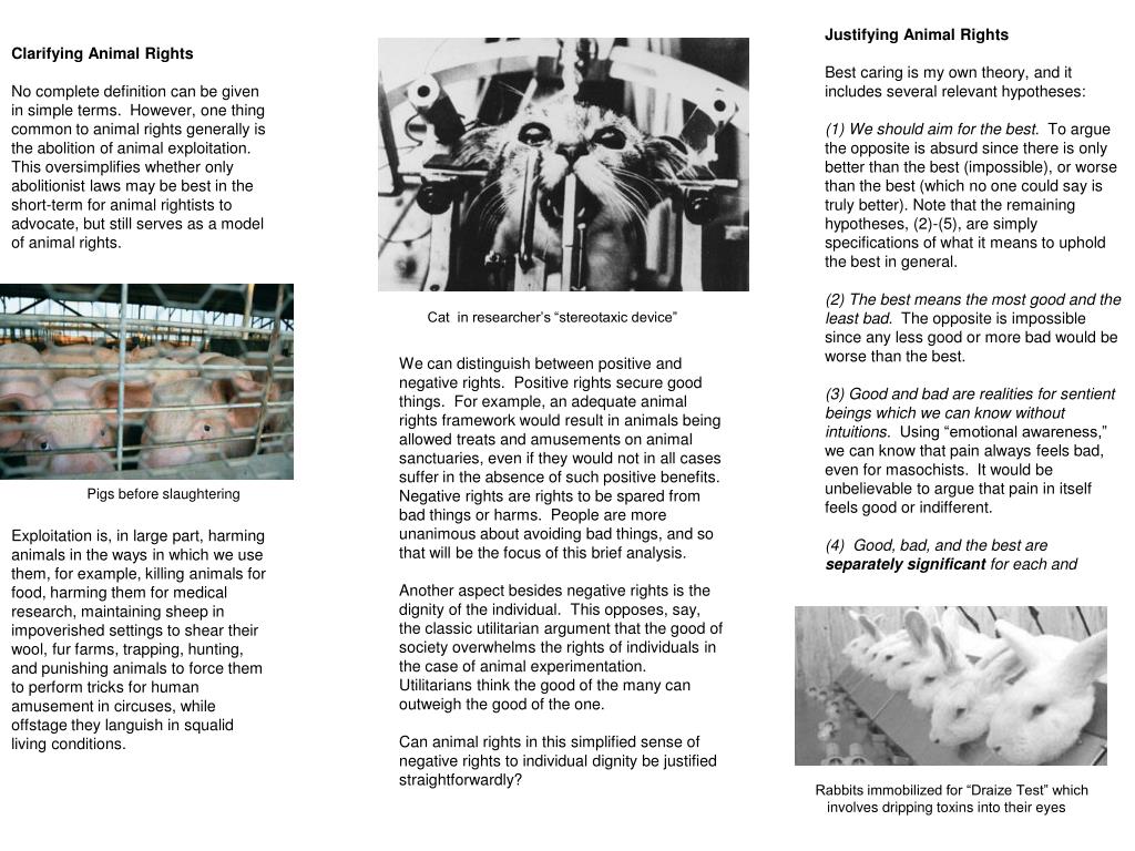 PPT Animal Rights Made Simple PowerPoint Presentation, free download