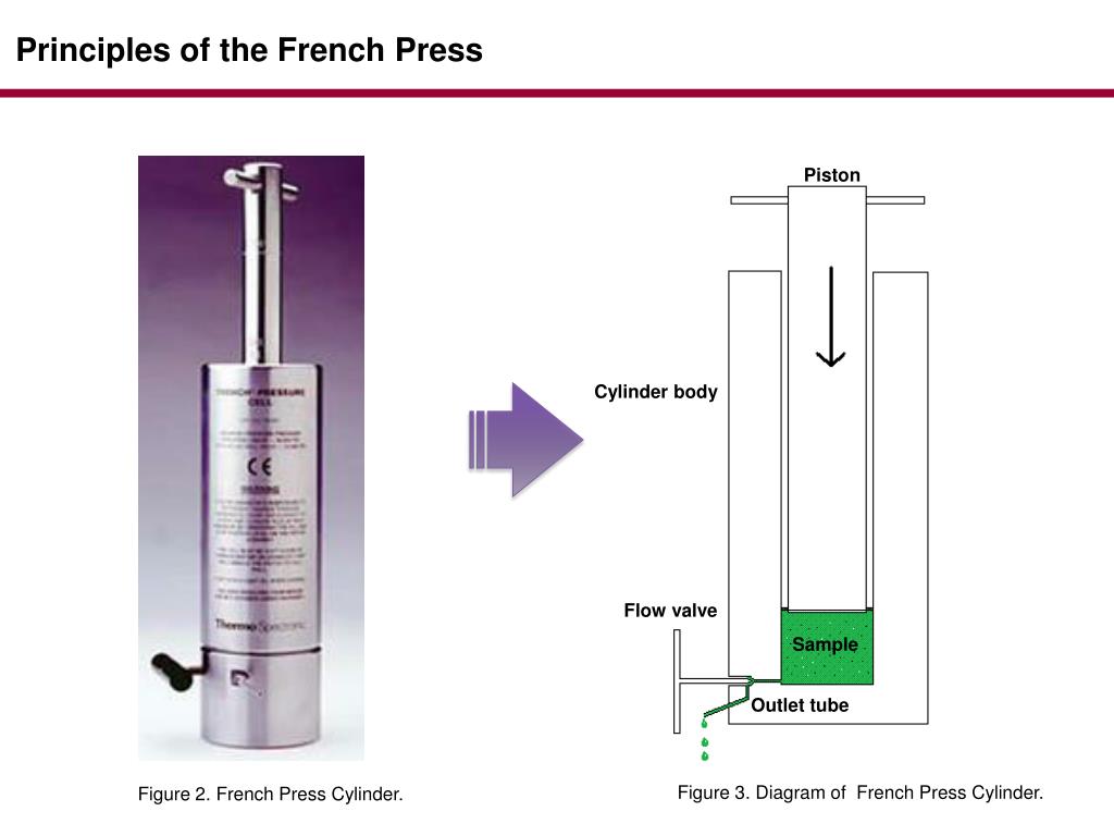 PPT Cell Lysis and Disruption PowerPoint Presentation, free download