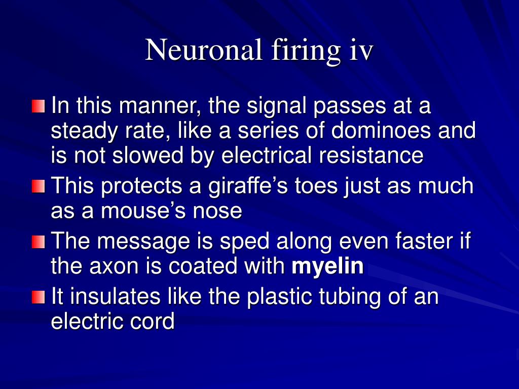 PPT Psychology’s biological roots neurons and neural communication