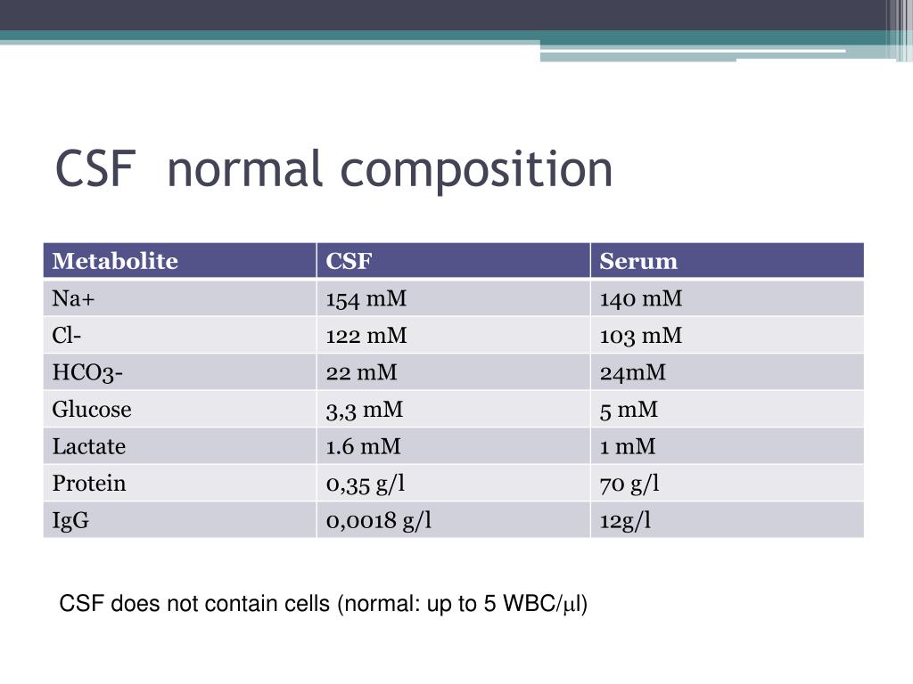 PPT Energy Metabolism of the Brain. Cerebrospinal Fluid PowerPoint