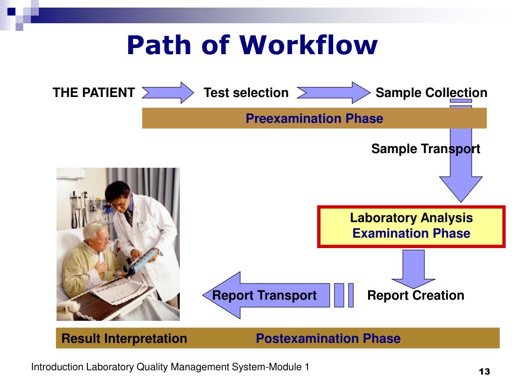 PPT Introduction Laboratory Quality Management System PowerPoint