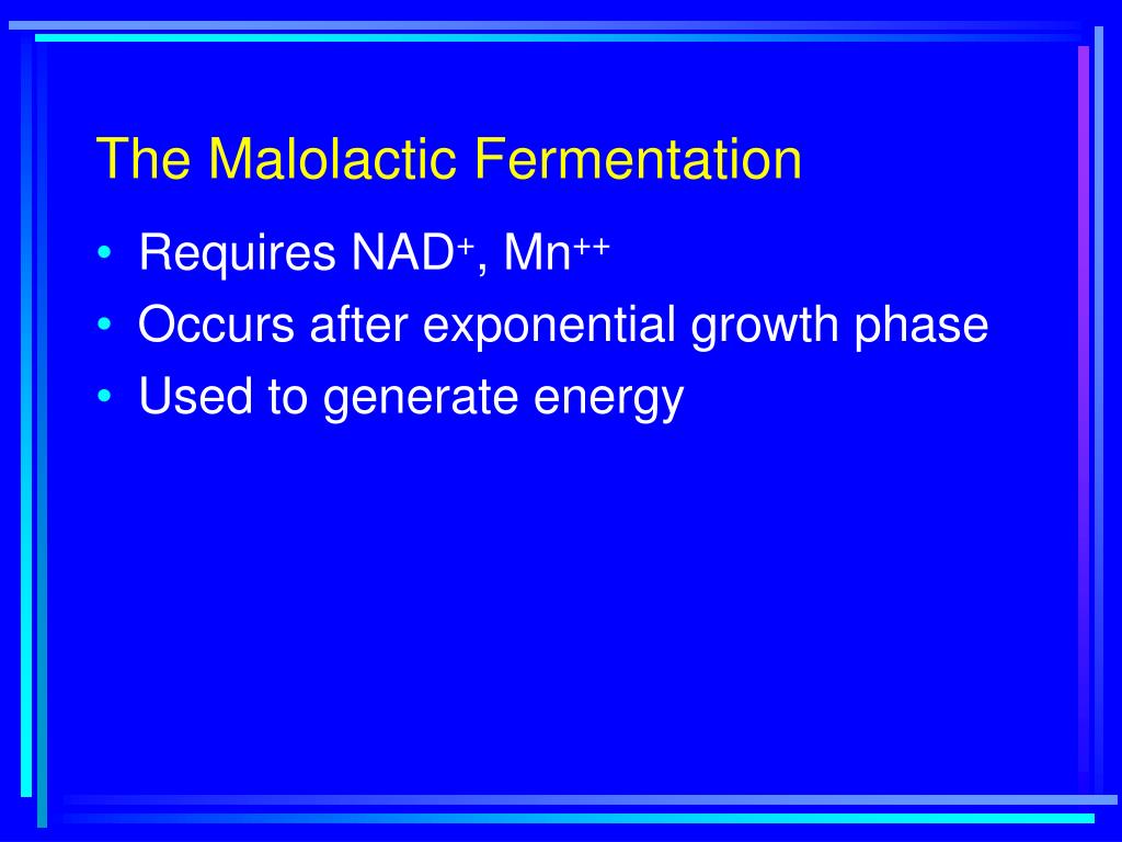 PPT Lecture 13 Managing the Malolactic Fermentation PowerPoint